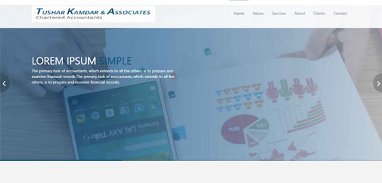Customer-Facing Mobile App